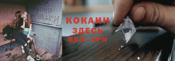 прущая мука Арсеньев