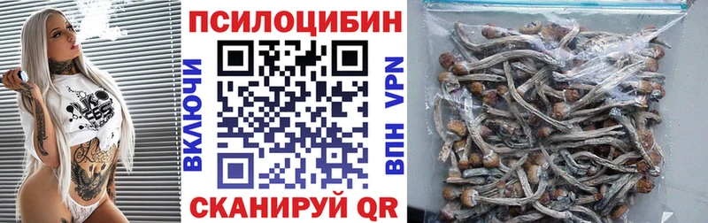 где можно купить   Сасово  KRAKEN ссылка  Псилоцибиновые грибы прущие грибы 